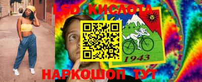 МДПВ Бердск