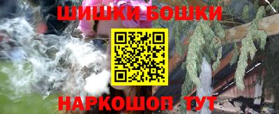 МДПВ Бердск